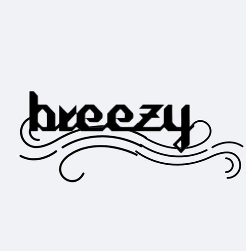 Breezymotorsports 